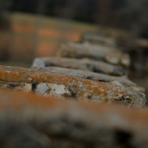 Meet your Posher, Kellie